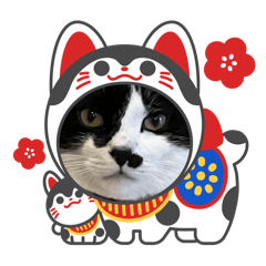 ruuuuuu_20251210110008