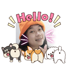 Hello dog_20251209235513