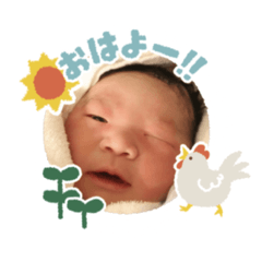 hikari_20251210124606