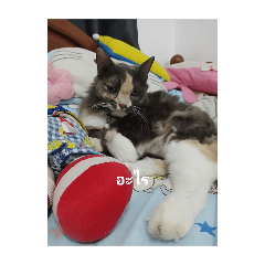 meetang_20251210102600