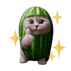 Watermelon Kitty Reactions