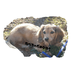 Haruka_20251208201218