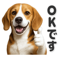 [Polite] Easy to use! Beagle