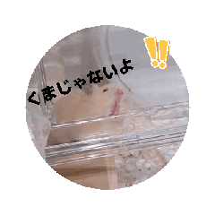 hanakama_20251210155019