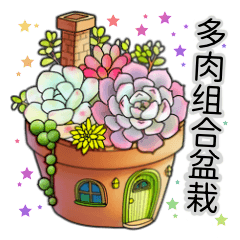 Everyone's succulent planting 2(CHT)