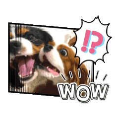 eleVEN_20251210155400