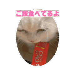 erikatsuji_20251210171631