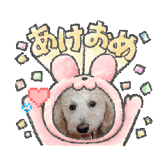 maronron_20251210164842