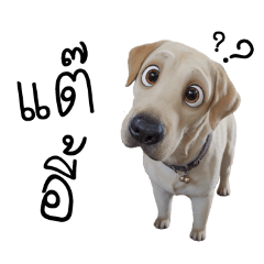 pharuay au kham muang v.1