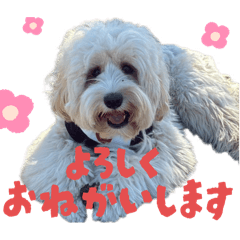 antan_20251210154737