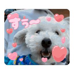 Mashu_20251210224831