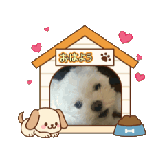 sachi_20251211083028