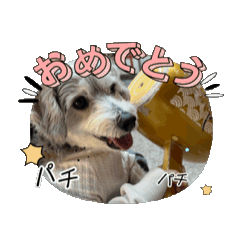 Misaki_20251210231713