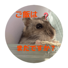 SATOSHI_20251210204638