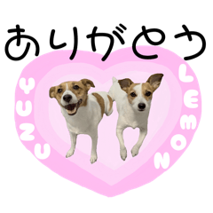 hajime no ippo_20251210204848