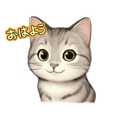 PET SEEYOUAGAIN_20251210174813