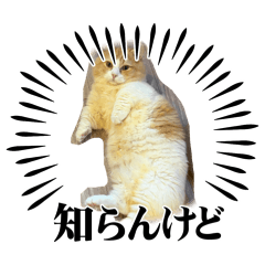 MISAKI_20251210175222