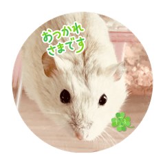 YUKA_20251210175819
