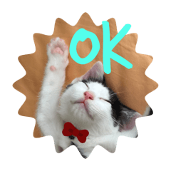 yuichi_20251210140235