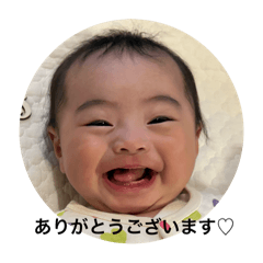 RISA_2025121016464155869