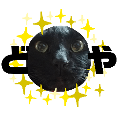 Kotame