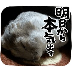 SATOSHI_20251210183012