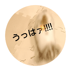 futaba_20251210184338