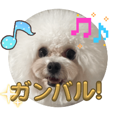 kuraetsu_20251210172936