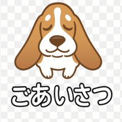 バセットなのにイケメンなんです