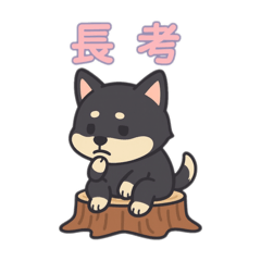 Furura_20251210205429