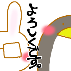 penguin x rabbit