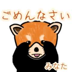 Minata's lesser panda