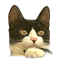 Yuna aida_20251210181845