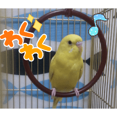 sakura_20251210201558