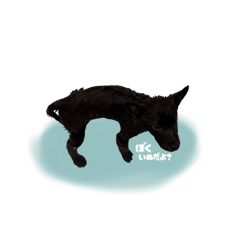 sakura_20251211005517