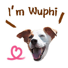 我是Wuphi