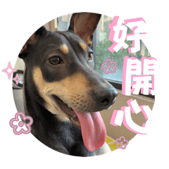 bluemonday.bruce_20251210141839