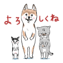 shimashima家のゆかいな仲間たち