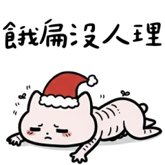 粉貓貓餓扁沒人理