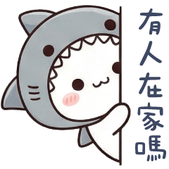 (S)shark cat_Is anyone home?