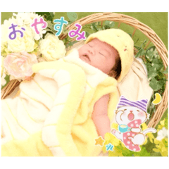 panda_20251210215746