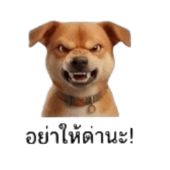 Mamay_20251210174200