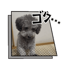 miichan_20251211114045