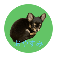 kasumisou_20251210195742