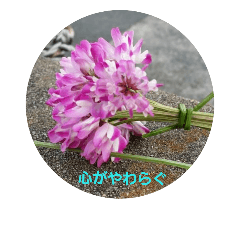 language  of  flowers