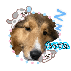 Kokona_20251210212948