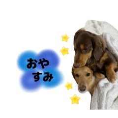 family_20251211100935