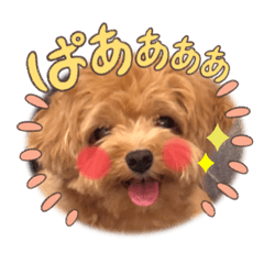 chacha_20251210231620