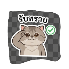 yammy_20251210213750