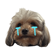 garden_20251210221428